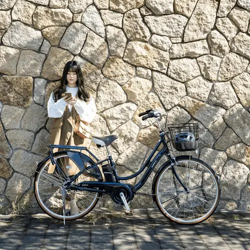 Xe đạp mini Nhật
